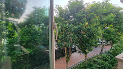 Le Hill Condominium (D5), Condominium #479267841